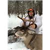 Image 10 : 5-1/2 Day Trophy Saskatewan Whitetail hunt for 1