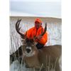 Image 14 : 5-1/2 Day Trophy Saskatewan Whitetail hunt for 1