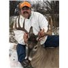 Image 6 : 5-1/2 Day Trophy Saskatewan Whitetail hunt for 1