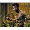 Image 1 : Hugh Jackman Wolverine Signed 8x10 Photo