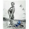 Image 1 : Kim Novak Signed 8x10 Photo