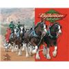 Image 1 : Budweiser - Clydesdales Metal Advertising Sign