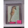 Image 1 : Signed Shirley Kolb Watercolour