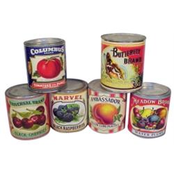 Butterfly, Columbus, Meadow, Ambassad...