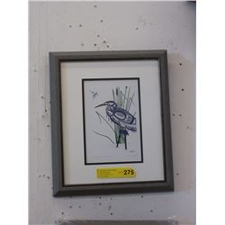 Richard Shorty Framed Print