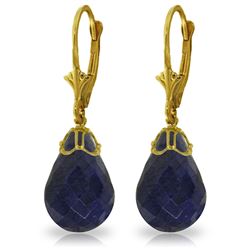 Genuine 29.6 ctw Sapphire Earrings Jewelry 14KT Yellow Gold - REF-40V7W