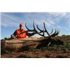Image 14 : Discounted Guided Colorado Elk Hunt in the Elk Capitol of the World, Craig Colorado 2018 or 2019