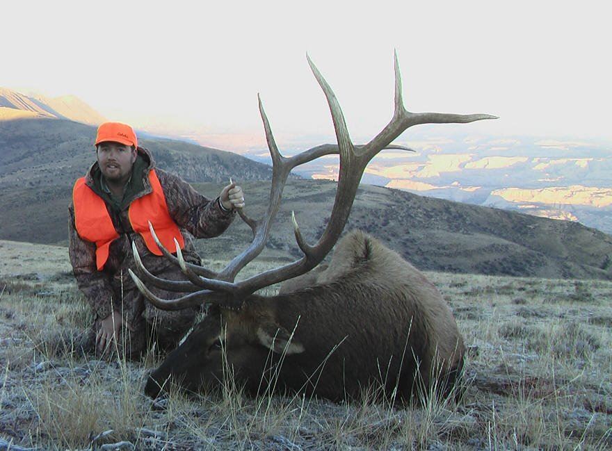 Discounted Guided Colorado Elk Hunt in the Elk Capitol of the World, Craig Colorado 2018 or 2019