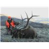 Image 15 : Discounted Guided Colorado Elk Hunt in the Elk Capitol of the World, Craig Colorado 2018 or 2019