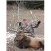 Image 4 : Discounted Guided Colorado Elk Hunt in the Elk Capitol of the World, Craig Colorado 2018 or 2019