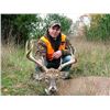 Image 6 : Guaranteed Iowa or Missouri Semi-Guided on Private farms Whitetail Hunt Free Ranging Whitetails