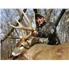 Image 9 : Guaranteed Iowa or Missouri Semi-Guided on Private farms Whitetail Hunt Free Ranging Whitetails