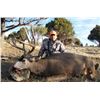 Image 11 : Discounted Semi-Guided Colorado Mule Deer Hunt on 30,000 Acres with 100% Success in the Past