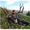 Image 1 : Discounted Semi-Guided Colorado Mule Deer Hunt on 30,000 Acres with 100% Success in the Past