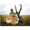 Image 20 : Discounted Gillette Wy Fully Guided Antelope Hunt w/Meals and Lodging on 30,000 acres of Prime Priva