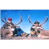 Image 11 : Discount Colorado's Texas style Elk& Deer 2nd floor shooting house/Low impact Hunt/2 hunters best