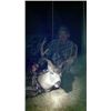 Image 10 : Discounted Private Land Mule Deer Hunt for 2018/2019
