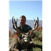 Image 11 : Discounted Private Land Mule Deer Hunt for 2018/2019