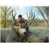 Image 12 : Discounted Private Land Mule Deer Hunt for 2018/2019