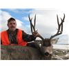 Image 13 : Discounted Private Land Mule Deer Hunt for 2018/2019