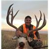 Image 14 : Discounted Private Land Mule Deer Hunt for 2018/2019