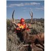 Image 9 : Discounted Semi-Guided Colorado Elk Hunt from a Cabin with free Pack out of elk to the cabin
