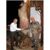 Image 11 : Discounted Great Horseback Cow Elk Hunt in Wyoming, 4000 elk in the area is not uncommon