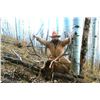 Image 5 : Discounted 2 Hunters Auction price each Colorado Guided elk huntw/M& L/1 hour horseback in AM & PM