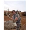Image 24 : Discounted Sand Hills & Corn Mule Deer Hunt Guided, Meals & Lodging Low Impact 100% Success