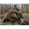 Image 20 : Discounted California Hunts for Tule Elk, Hogs, Blacktail, Varmit, Birds, Auction Aoudad Ram