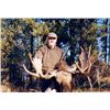Image 4 : Discounted Western Canadian Trophy Moose Hunt in some of the best allocations in Canada