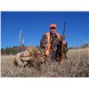 Image 16 : Discounted Colorado Elk Hunt Lodging with the option for Hunting Public Land or Private additional