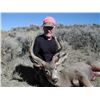 Image 18 : Discounted Colorado Elk Hunt Lodging with the option for Hunting Public Land or Private additional