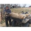 Image 4 : Discounted Bird and Beast Hunt Semi-Guided Whitetail Deer and Pheasant in Eastern Nebraska
