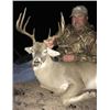 Image 19 : Discounted Hunt in Texas/Hunt like the Big Dog this year Whitetail Buck, Whitetail Doe and a Hog
