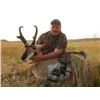 Image 17 : Discounted Utah Guided w/lodging Trophy Mule Deer on 8 mile Alfalfa Ranch and adjacent private land
