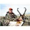 Image 18 : Discounted Utah Guided w/lodging Trophy Mule Deer on 8 mile Alfalfa Ranch and adjacent private land