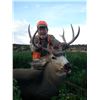 Image 4 : Discounted Utah Guided w/lodging Trophy Mule Deer on 8 mile Alfalfa Ranch and adjacent private land