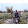 Image 5 : Discounted Utah Guided w/lodging Trophy Mule Deer on 8 mile Alfalfa Ranch and adjacent private land