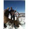 Image 8 : Discounted Utah Guided w/lodging Trophy Mule Deer on 8 mile Alfalfa Ranch and adjacent private land