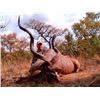 Image 1 : Discounted 5 Day Eastern Cape Hunting Safari Package/5 day,5 Animals,4 Star Lodge 55,000 acres