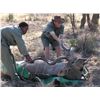 Image 3 : Discounted 5 Day Eastern Cape Hunting Safari Package/5 day,5 Animals,4 Star Lodge 55,000 acres