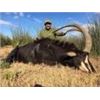 Image 2 : Discounted Dangerous Game Hunt Huge African Buffalo 2018/2019 down to only to pennies