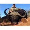 Image 4 : Discounted Dangerous Game Hunt Huge African Buffalo 2018/2019 down to only to pennies