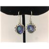 Image 1 : Abalone Sterling Silver Earring