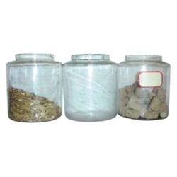 Round glass candy jars w/out lids (3)...