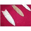 Image 5 : 3 Paleo Points