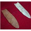 Image 6 : 3 Paleo Points