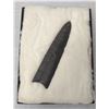 Image 1 : Giant Clovis Point