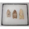 Image 1 : 3 Fluted Points